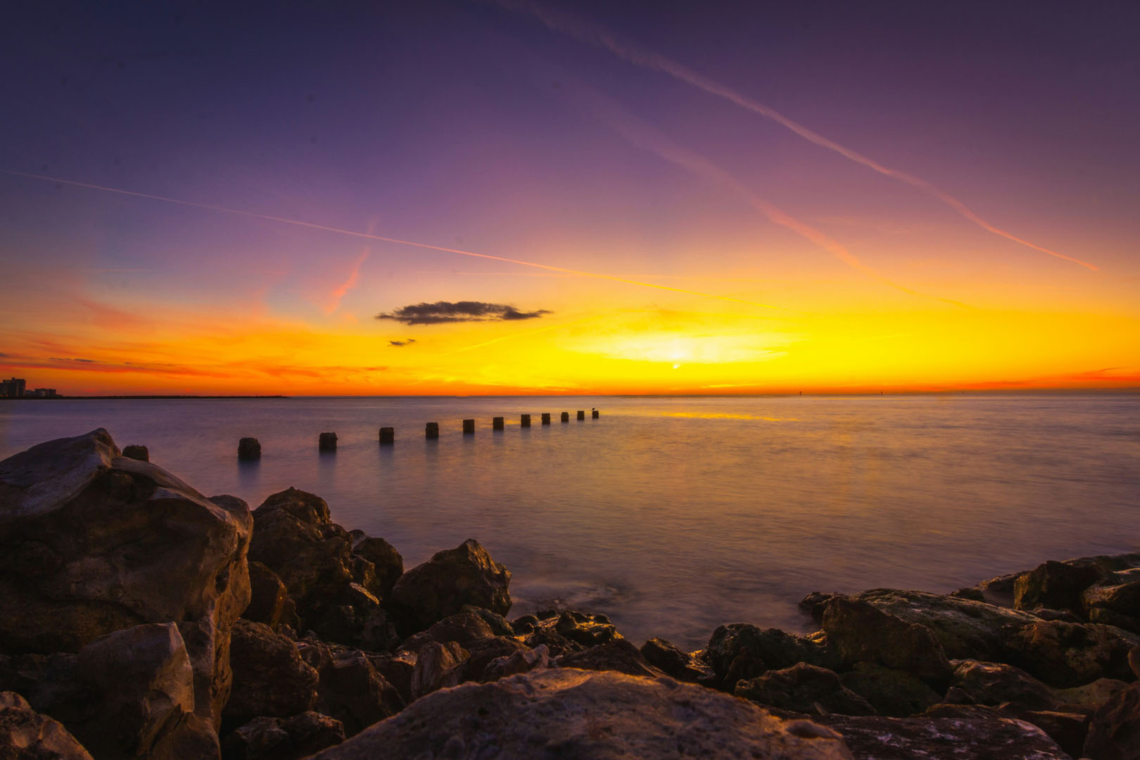 clearwater beach portable toilet rentals