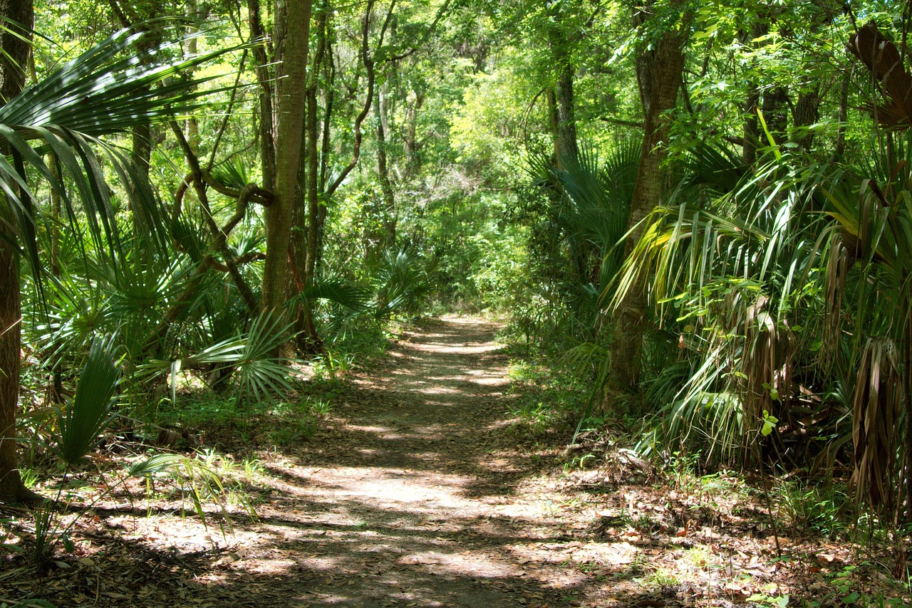 PIC-FOR-LUTZ-NATURE-TRAIL