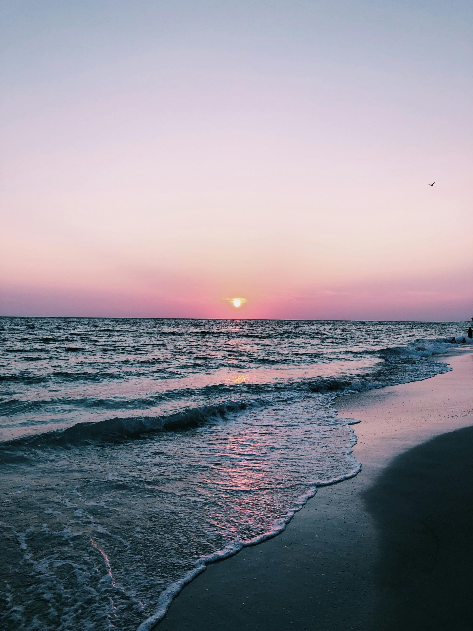 A calming sunset over Florida's Gulf Coast with gentle waves and pastel skies.