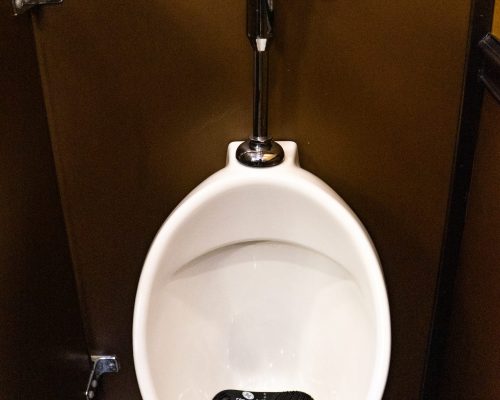 DSC02390. 11 STALL SINGLE URINAL