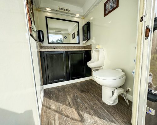IMG_0102.3 STALL PLATINUM MEN_S STALL TOILET & SINK FROM DOORWAY